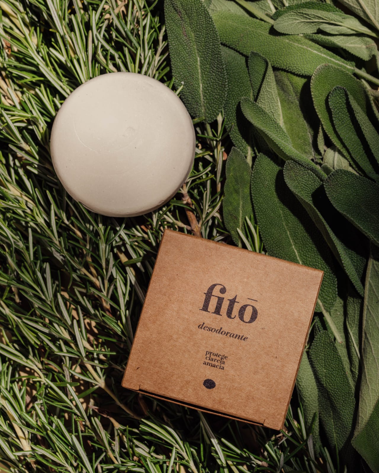 Combo Desodorante Natural + Latinha Exclusiva Fitō