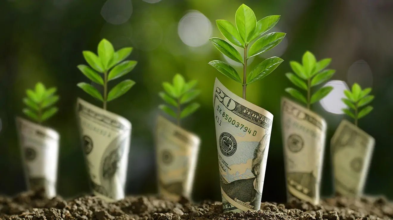 Greenwashing: Como Identificar e Escolher Cosméticos Naturais de Verdade - Fitō