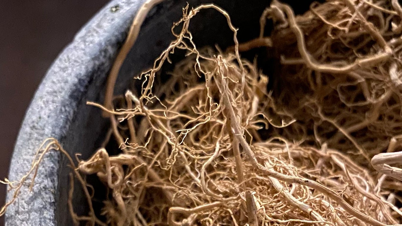 O Vetiver: Raízes Profundas, Benefícios Ampliados - Fitō