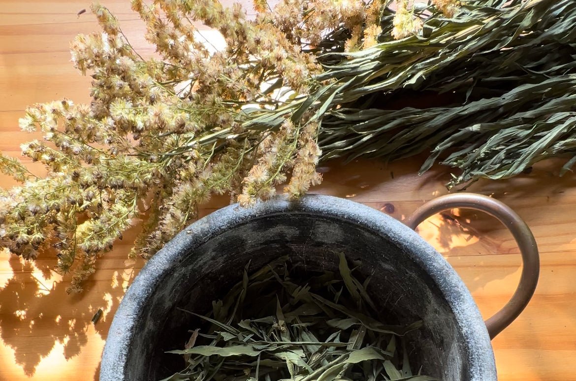 Solidago: A Raínha Dourada que Cura Dores - Fitō