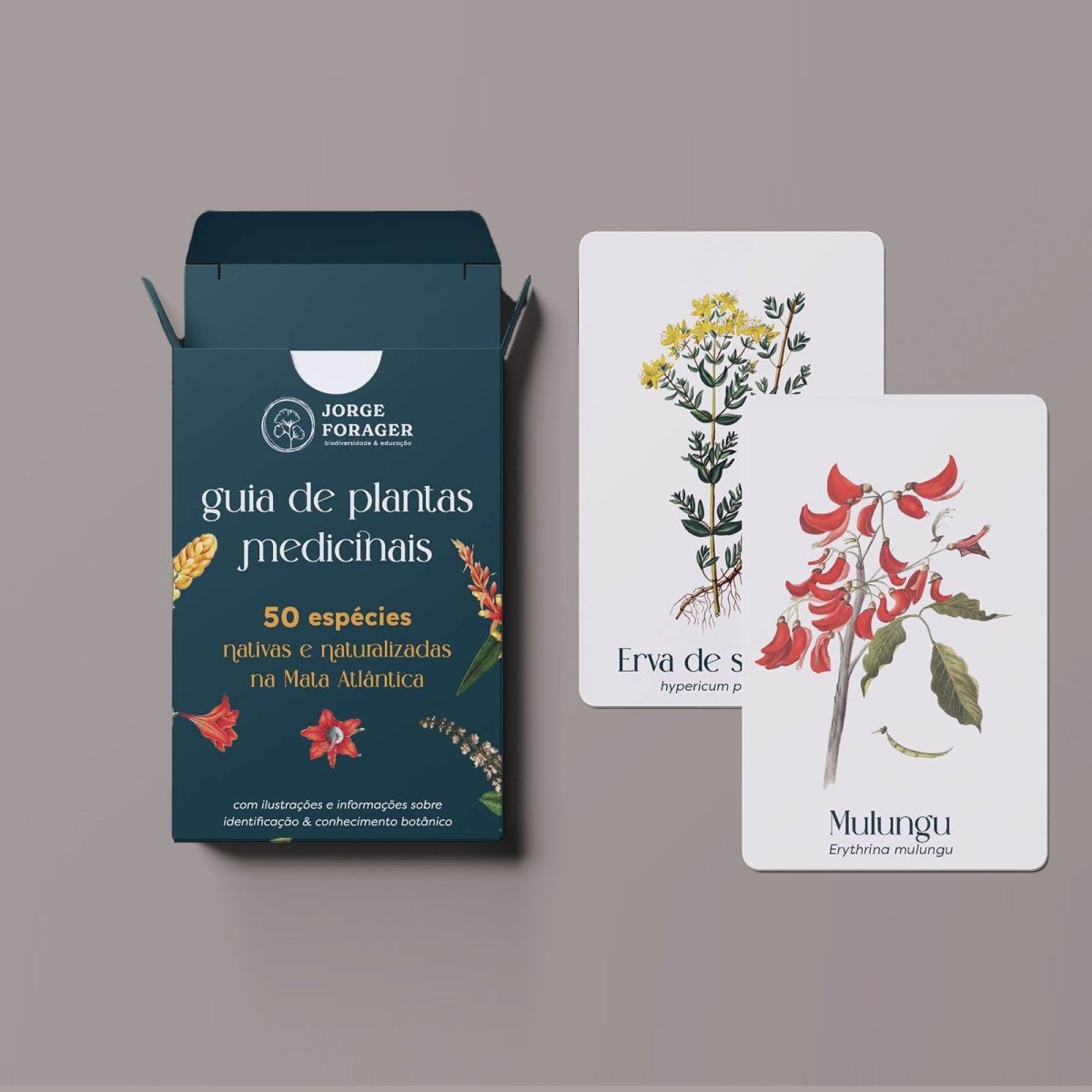 Guia de Plantas Medicinais nativas e naturalizadas na Mata Atlântica - Fitō